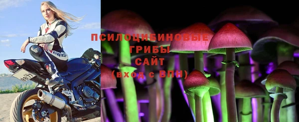 jwh Ростов