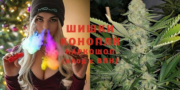 сатива Россошь
