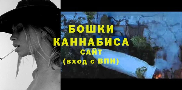 сатива Россошь