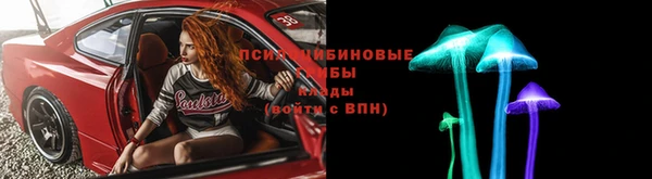 сатива Россошь