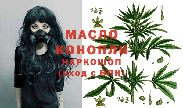 сатива Россошь